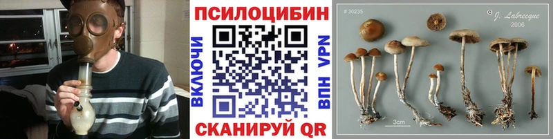 hydra сайт  цена наркотик  Янаул  Галлюциногенные грибы мицелий 
